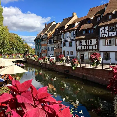 I-love-colmar - Le 8 De Coeur - Garage Gratuit Colmar